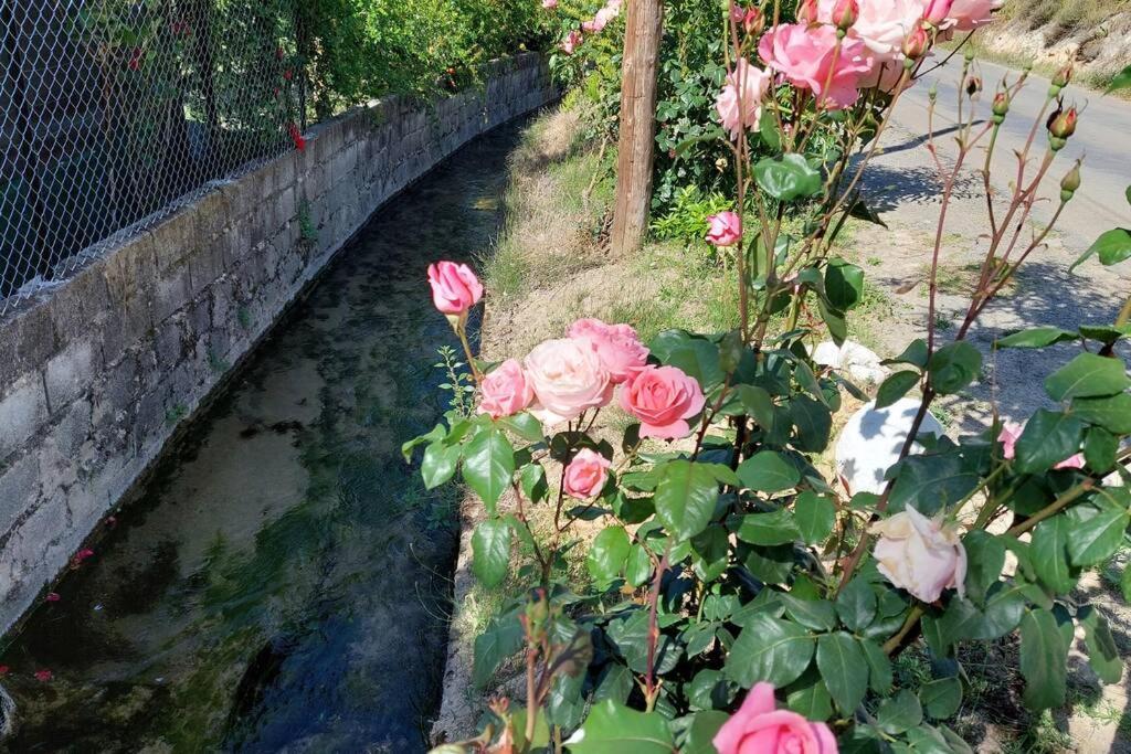La Huerta Del Castillo Con Su Caz De Agua - Enjoy Life & Relax Castillo de Locubín Εξωτερικό φωτογραφία