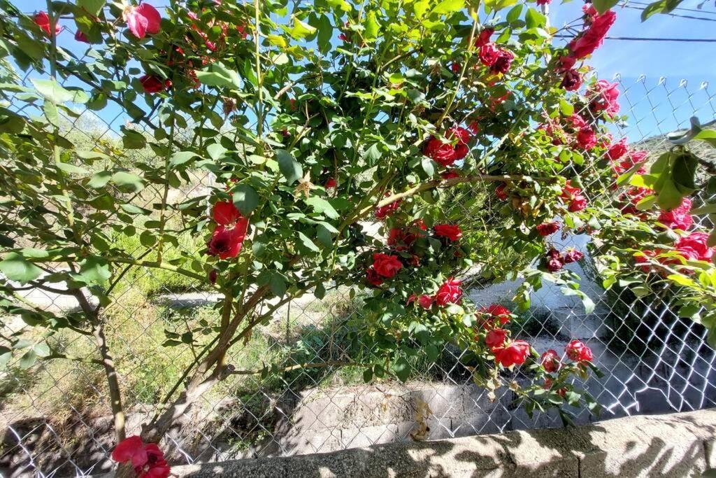 La Huerta Del Castillo Con Su Caz De Agua - Enjoy Life & Relax Castillo de Locubín Εξωτερικό φωτογραφία