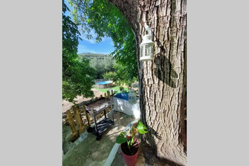 La Huerta Del Castillo Con Su Caz De Agua - Enjoy Life & Relax Castillo de Locubín Εξωτερικό φωτογραφία